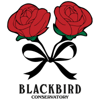 Blackbird Conservatory